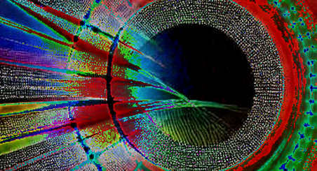 Watching the Ledger Breathe Beneath the Noise: Pi Network’s Collapse and the Anatomy of a Failed Social Contract