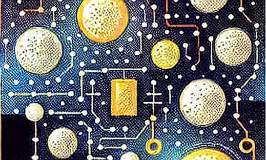 The Macro Echo Chamber: Why Crypto Is Holding Its Breath and What Happens When the Fed Speaks