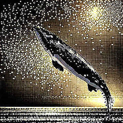 The Fee Harvest: When Protocol Pricing Power Mirrors Moutai’s K-Shaped Divergence