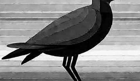 The Sovereign Wealth Signal: Deconstructing PIF’s $100M Layer-2 Bet Through a Macro Lens
