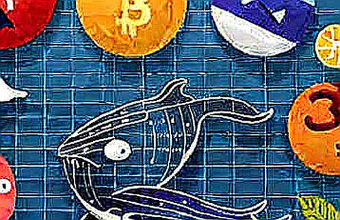 The Silent Transfer: When Fan Tokens Stopped Listening to Football's Biggest Narrative The Silent Transfer: When Fan Tokens Stopped Listening to Football's Biggest Narrative