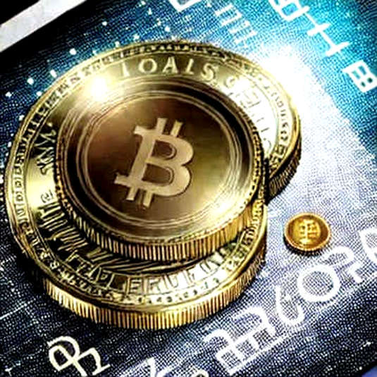 The Silence Between the Digits: When the Analytical Framework Meets an Empty Ledger